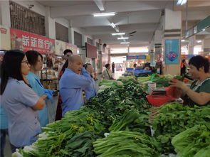 食用农产品销售政策与实践——以开平市为例
