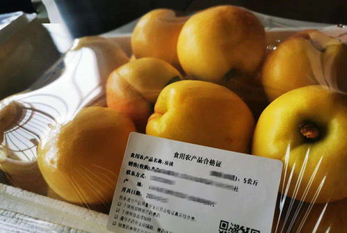 食用农产品试行合格证，农产品有了'身份证'可扫码溯源
