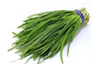 11月起滕州加强韭菜质量监管，守护舌尖上的韭菜饺子安全